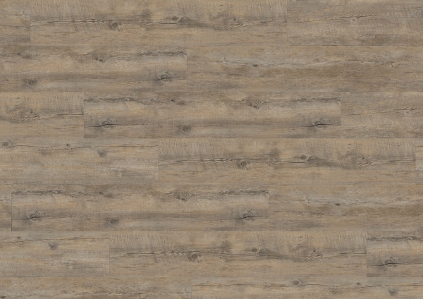 Wineo 400  Vinyl zum Kleben Embrance Oak Grey 1200/180/2 mm Bund à 3,89 m²